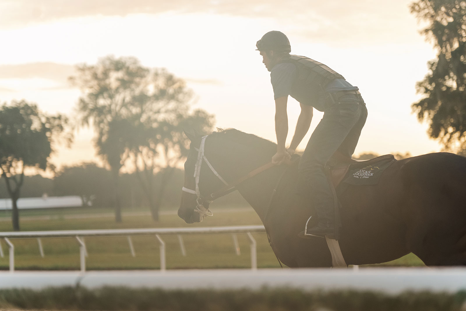 Jockey riding a racehorse on a hazy morning