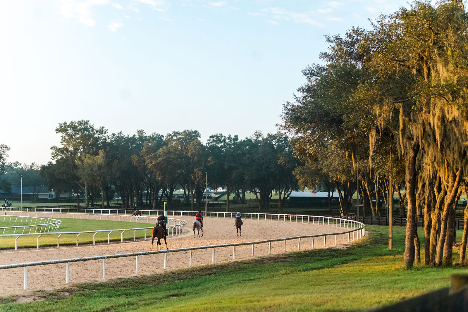 Thoroughbred racehorses school on the dirt track in the early morning at Oak Ridge Training Center
